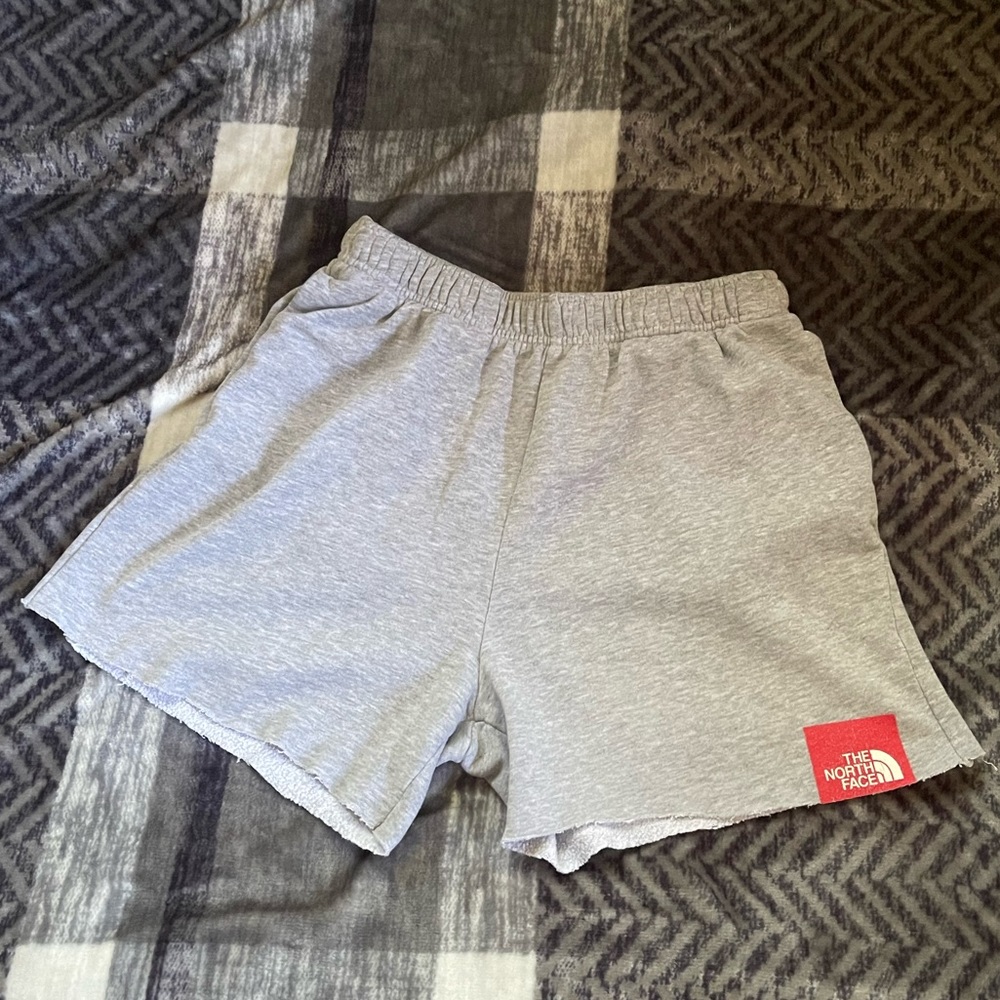 North Face Shorts. Size Medium.